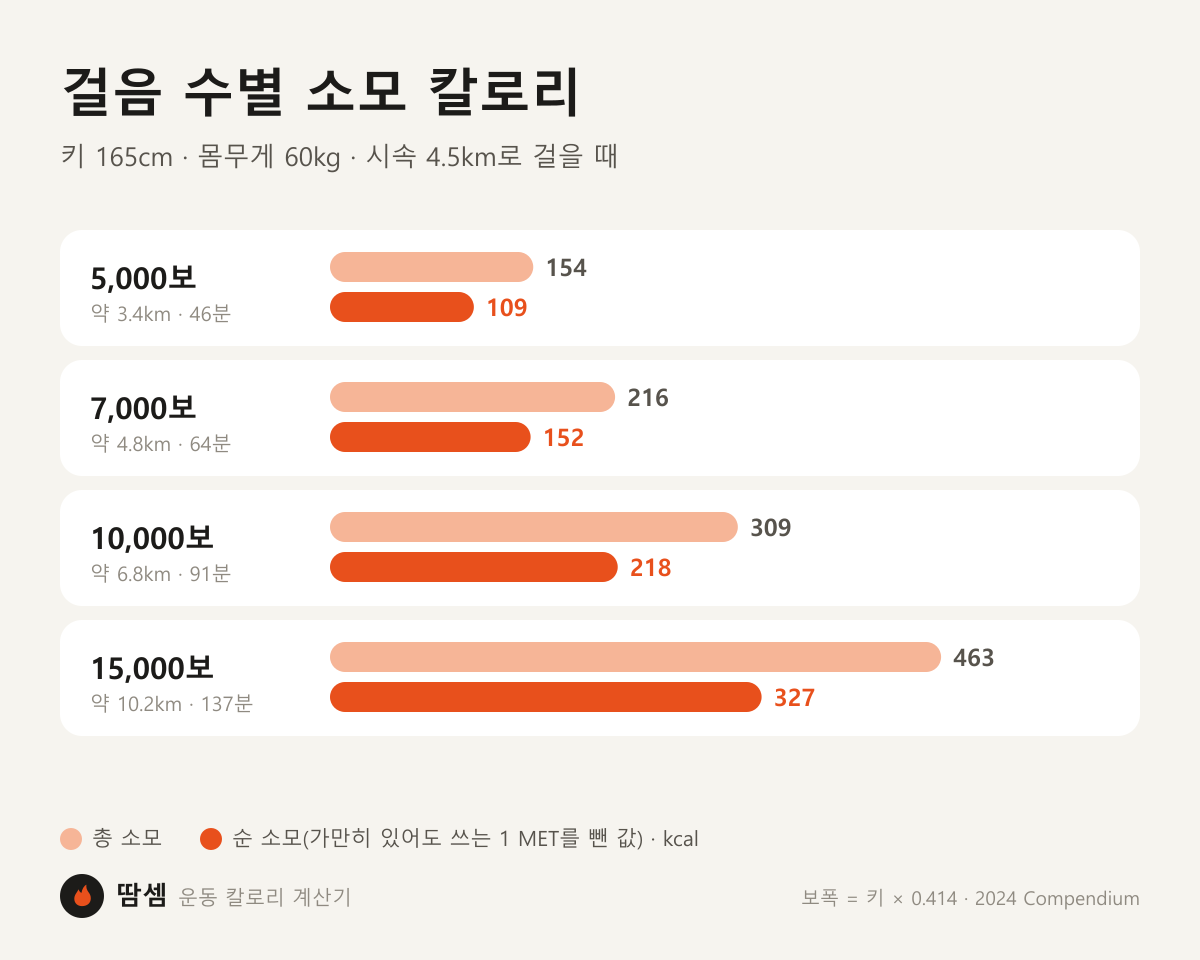 걸음 수별 총 소모와 순 소모 칼로리 비교 그래프(키 165cm, 몸무게 60kg, 시속 4.5km): 5,000보 총 154kcal·순 109kcal, 7,000보 총 216kcal·순 152kcal, 10,000보 총 309kcal·순 218kcal, 15,000보 총 463kcal·순 327kcal