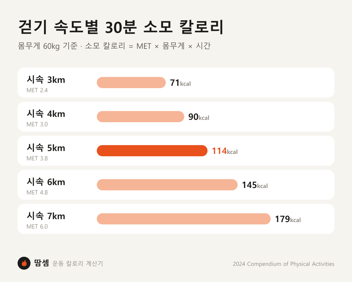 걷기 속도별 30분 소모 칼로리 그래프(몸무게 60kg): 시속 3km 71kcal, 시속 4km 90kcal, 시속 5km 114kcal, 시속 6km 145kcal, 시속 7km 179kcal